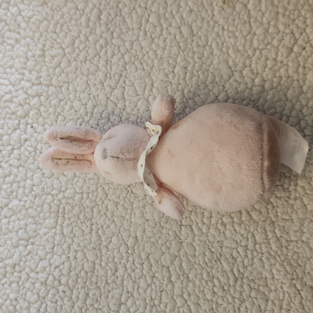 Bunny rabbit with bell